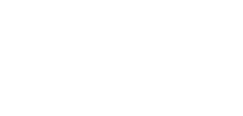 Martin logo